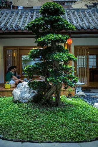 Lazy Inn Hostel