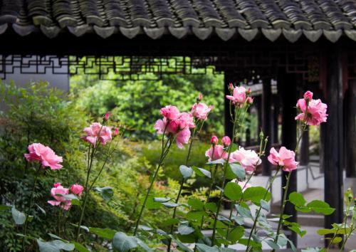 Tongli Lake View Hotel