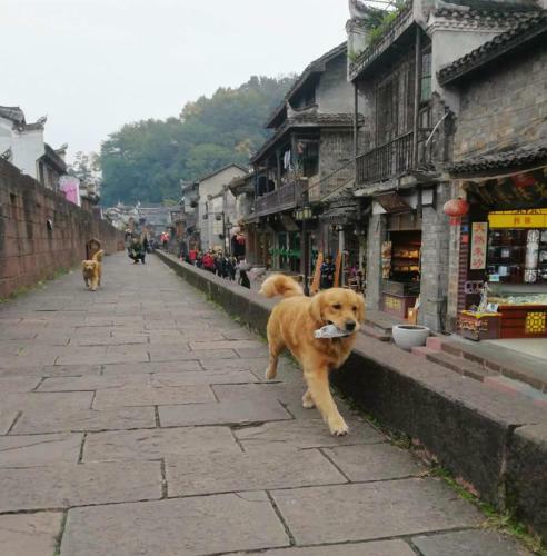 Hostal Fenghuang More Inn