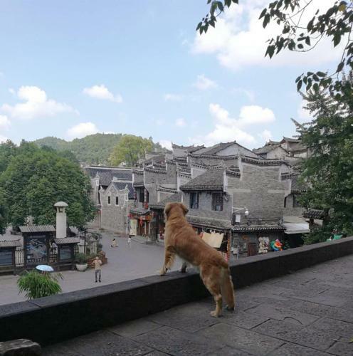 Hostal Fenghuang More Inn