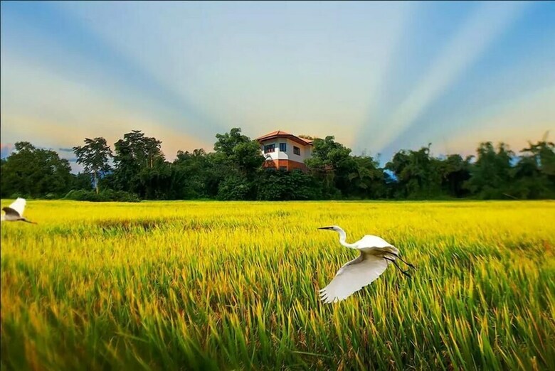 Lpc Holiday Villa