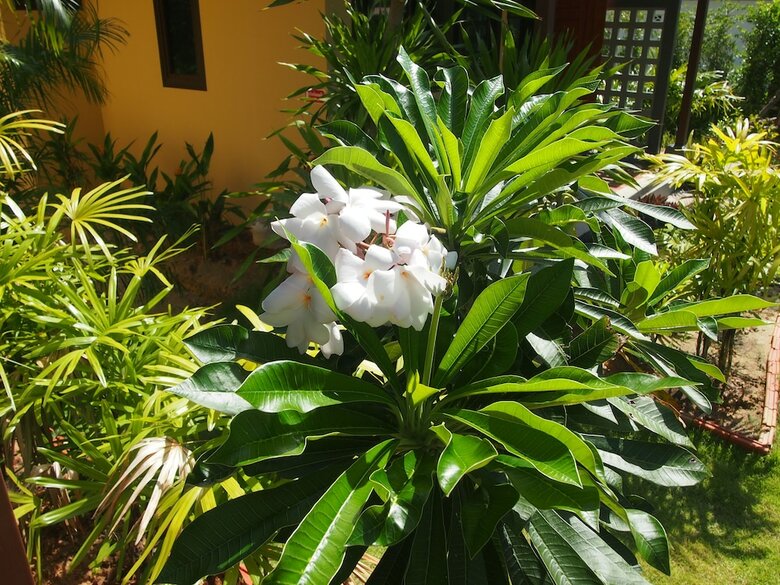Hotel At Bangsak Resort