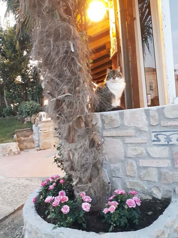 Bed & Breakfast B & B Giada - For N. 3 People - Independent Apartment