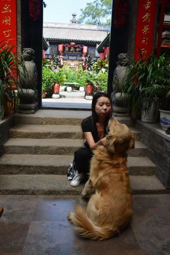 Posada Pingyao Harmony Hotel