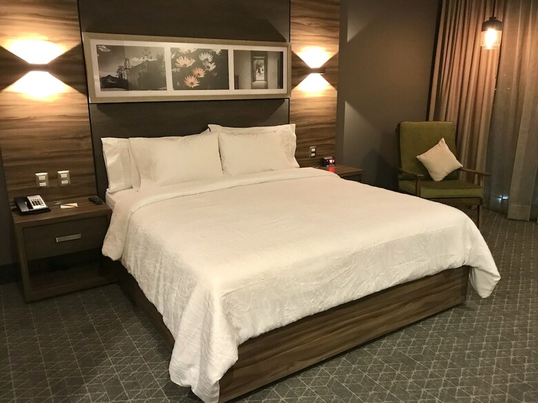 Hotel Hilton Garden Inn Aguascalientes