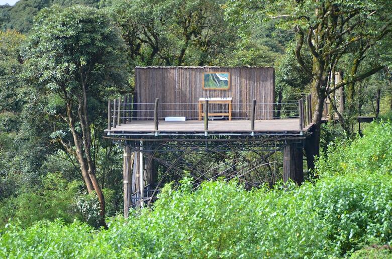 Vinetree Gaoligong Tented Resort