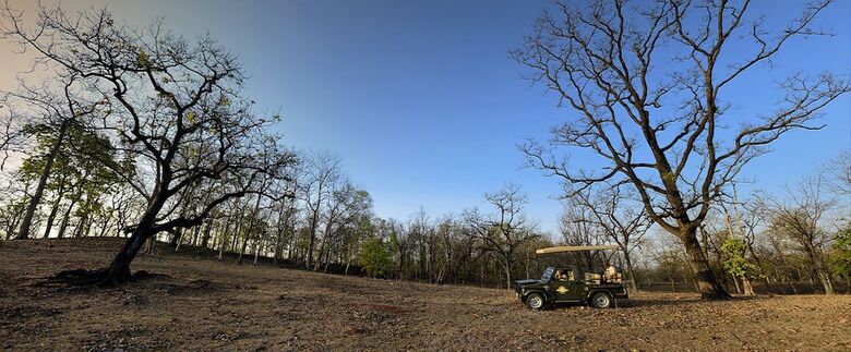 Posada Pugdundee Safaris - Pench Tree Lodge
