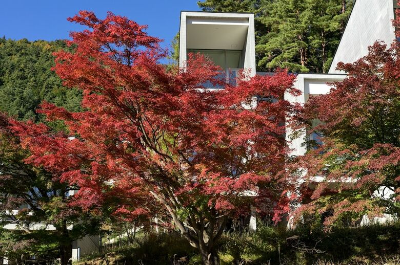Posada Hoshinoya Fuji