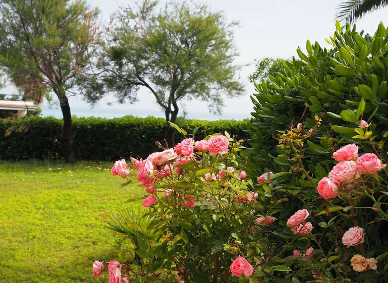 Villa Japigium Capo Piccolo Holiday Home