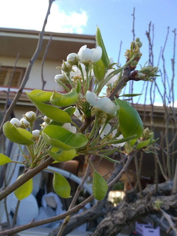 Bed & Breakfast I Fiori Di Sicilia