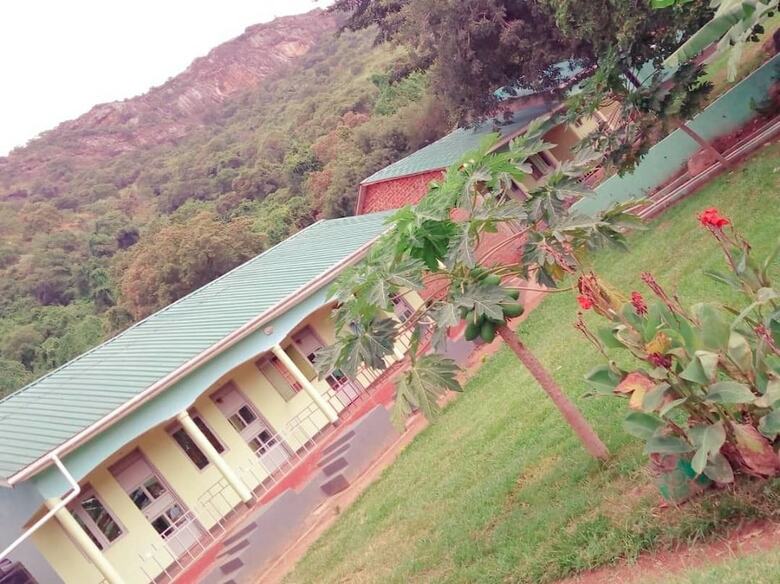 Hotel Green Oasis Guest House And Tours