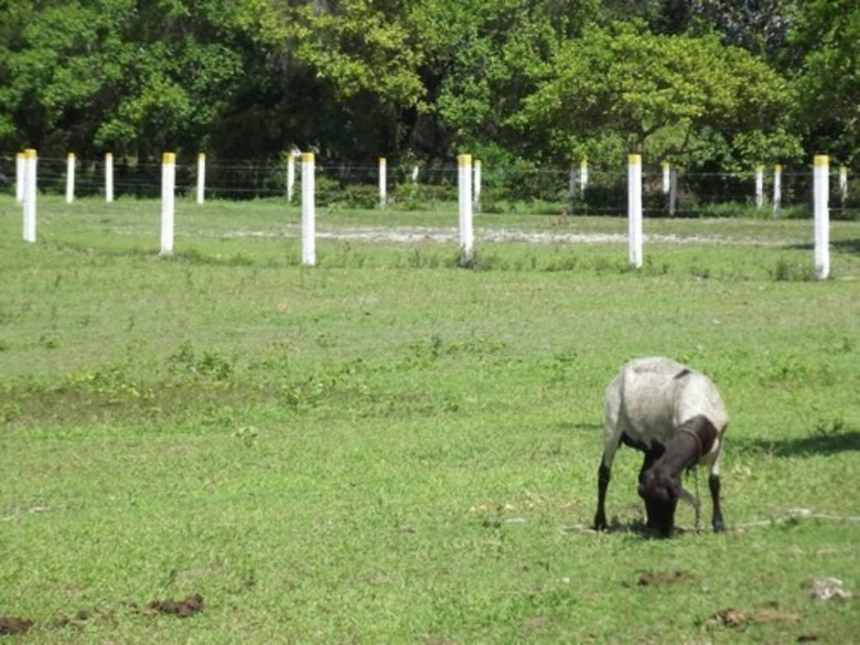 Hotel Fazenda Recanto