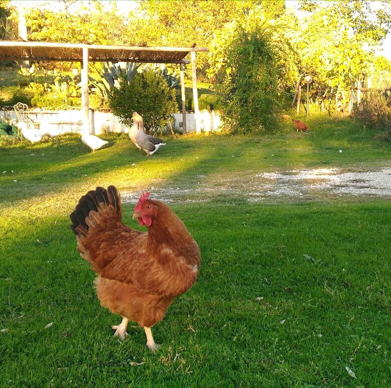 Agroturismo Agriturismo C'era UNA Volta