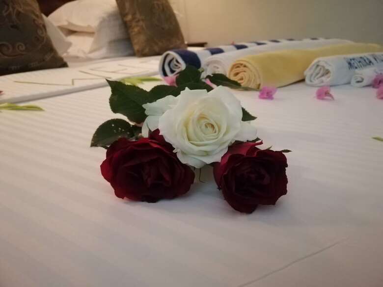 Hotel Methira Villa