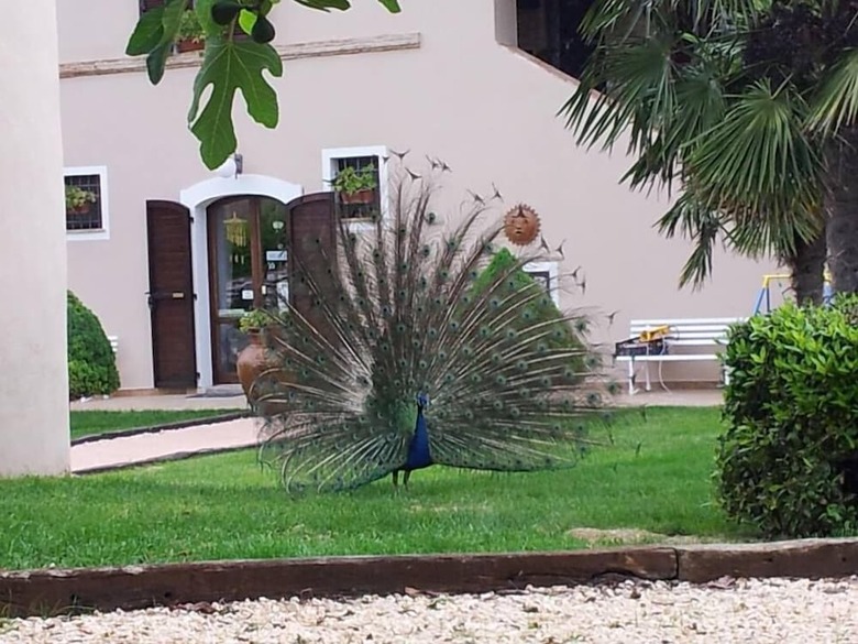 Agroturismo Agriturismo La Contea By Bice