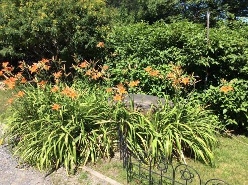 Bed & Breakfast Chez Lulu Et Lutin