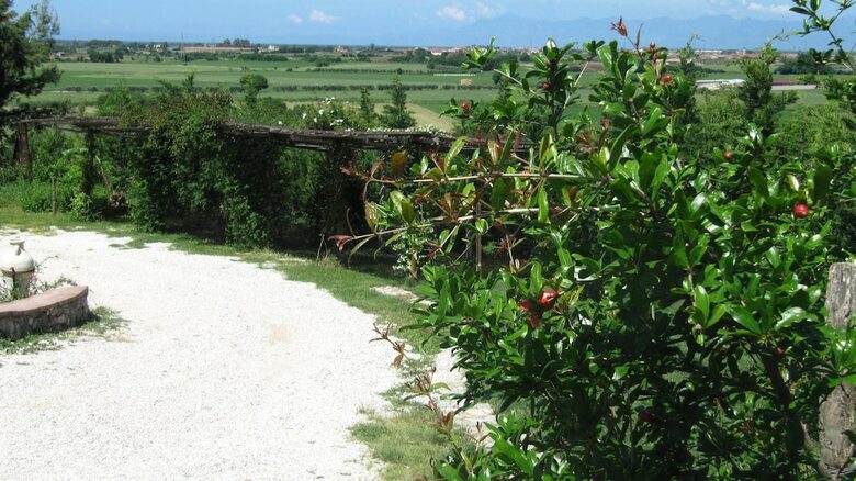 Bed And Breakfast Macchia D'olmo