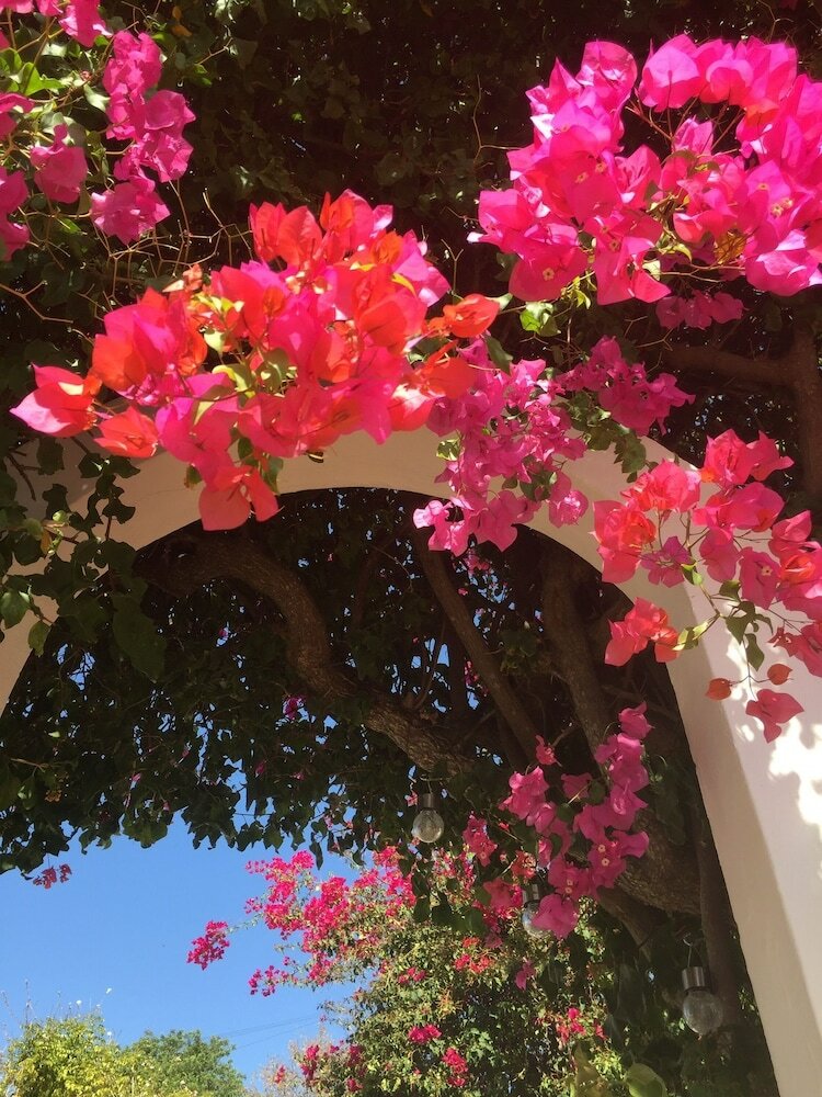 Bed & Breakfast Winniehill