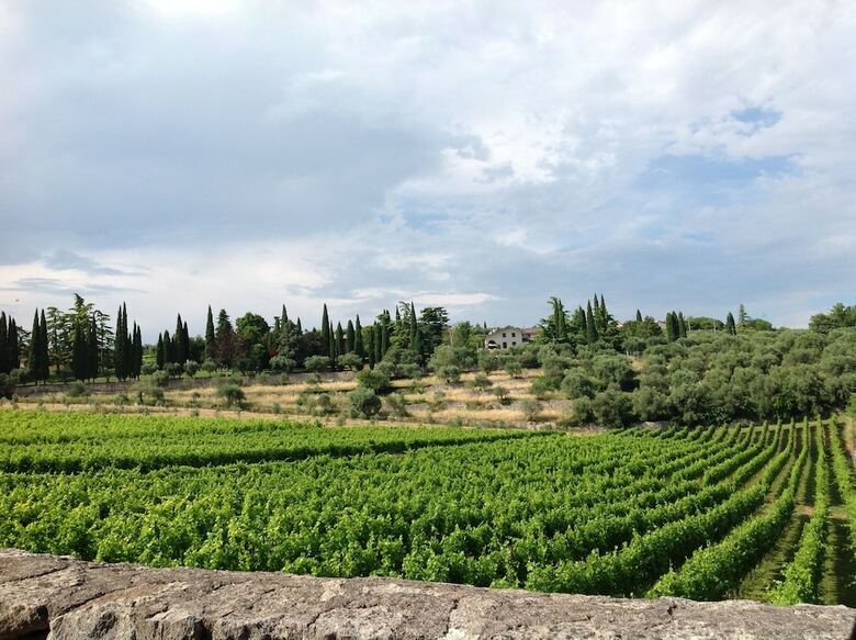 Agroturismo Agriturismo Corte San Dionigi
