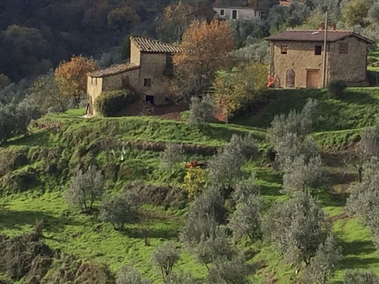 Agroturismo Ventena Vecchia Antico Frantoio