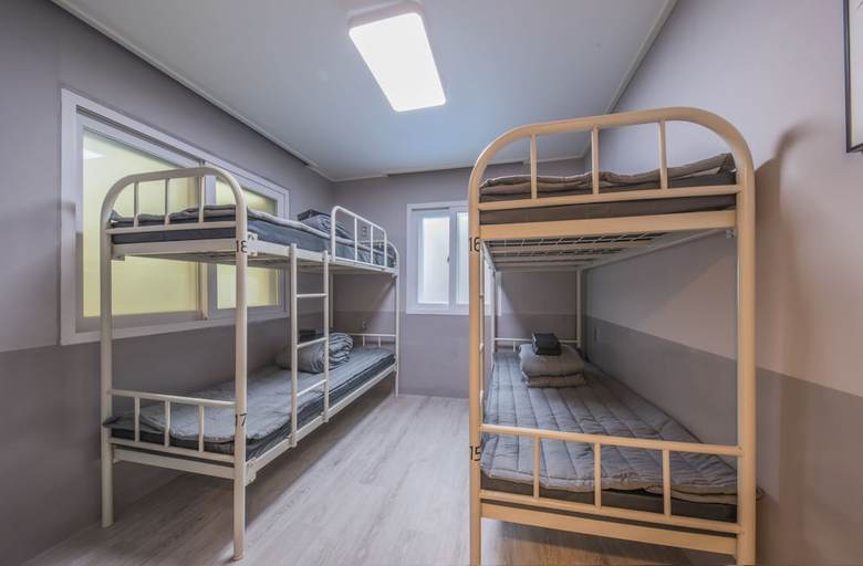 Hostal Flex Home Guesthouse - Hostel