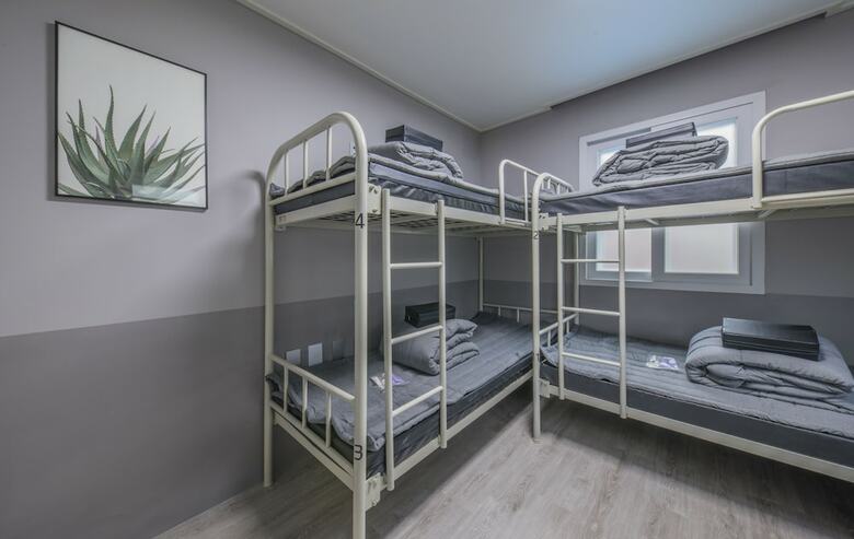 Hostal Flex Home Guesthouse - Hostel
