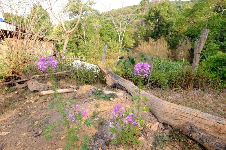 Hotel Baan Pakayor Homestay