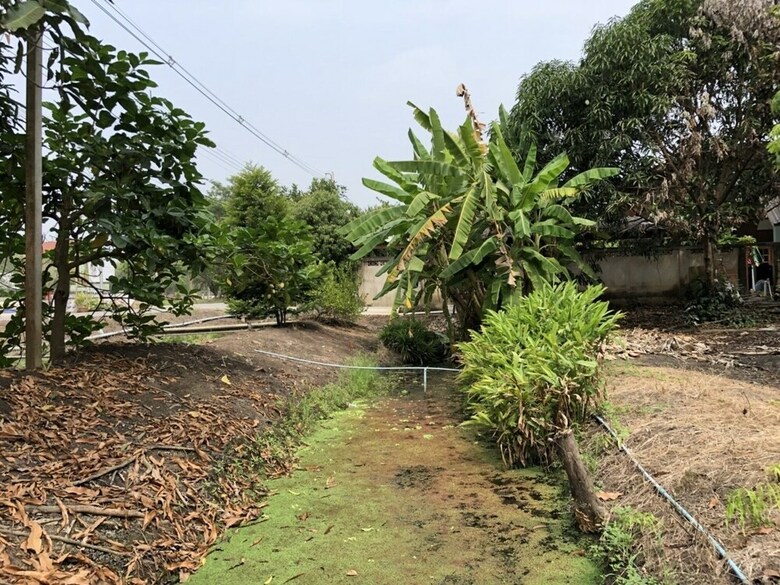 Hotel Baan Suan Nuchliang Homestay