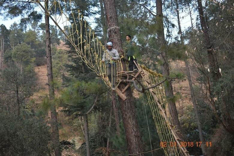 Jungle Stays