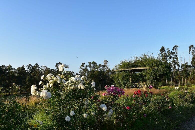 Hotel Labertouche Gypsy Creek Winery