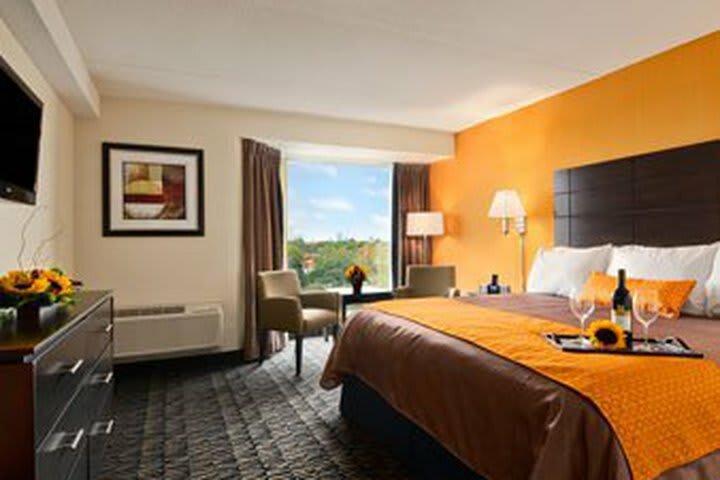 Ramada Plaza Niagara Falls Hotel