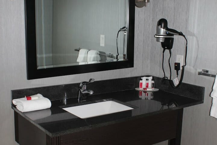 Ramada Plaza Niagara Falls Hotel