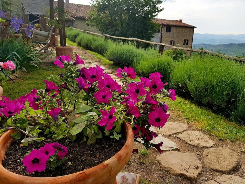 Agroturismo Agriturismo La Colombella