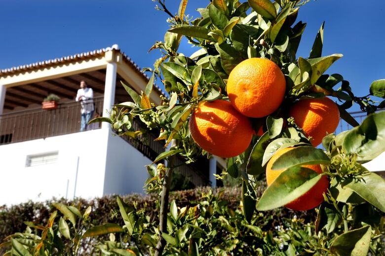Hotel Herdade Da Corte