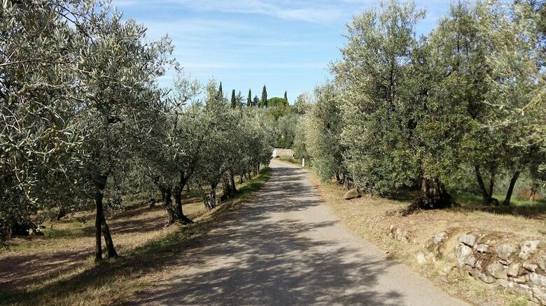 Agroturismo Agriturismo Il Colle