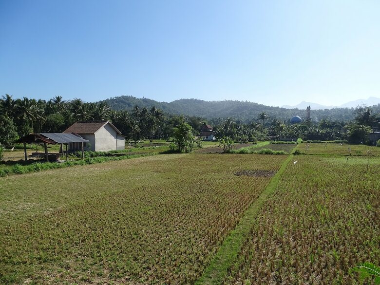 Bed & Breakfast Bale Solah
