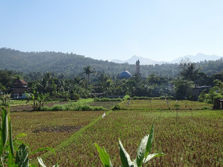 Bed & Breakfast Bale Solah
