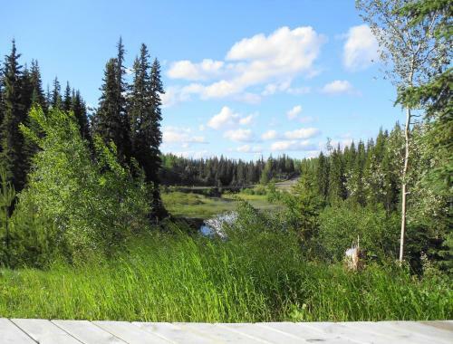 Seawood Bed & Breakfast & Cabins