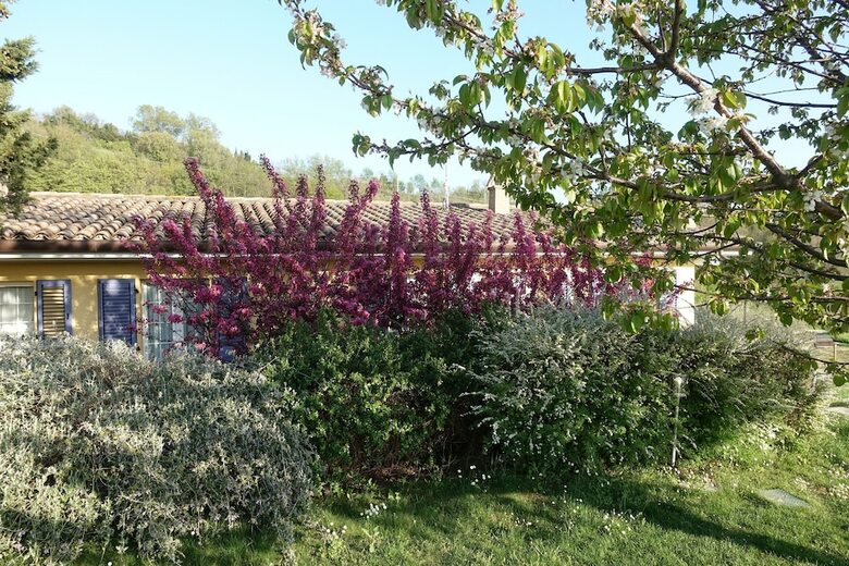 Agroturismo La Tenuta Del Giglio