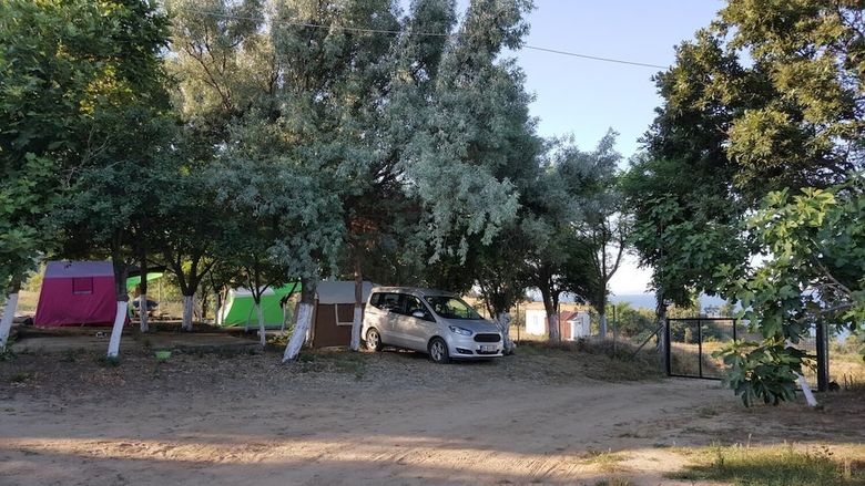 Dama Kamp Alani