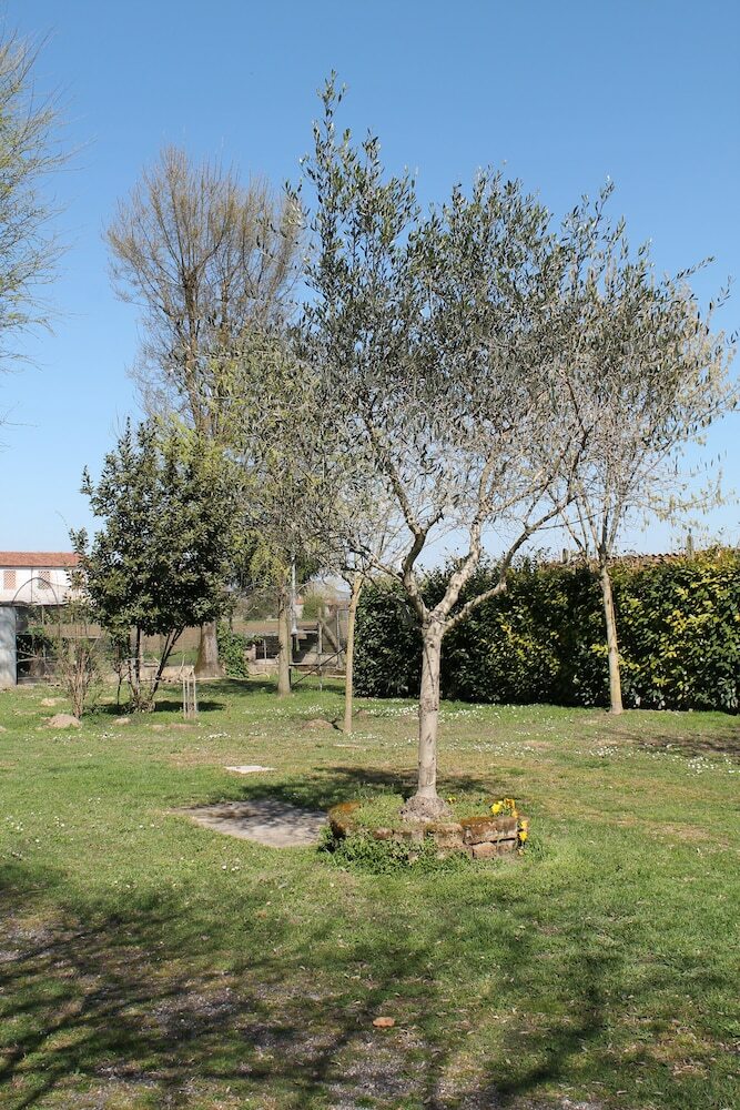 Agroturismo Agriturismo Le Clementine