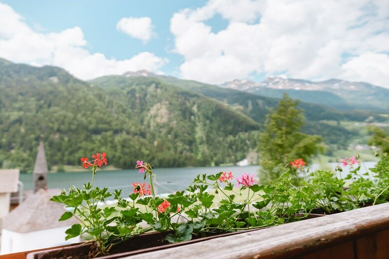 Hostal Hotel Restaurant Alpenrose