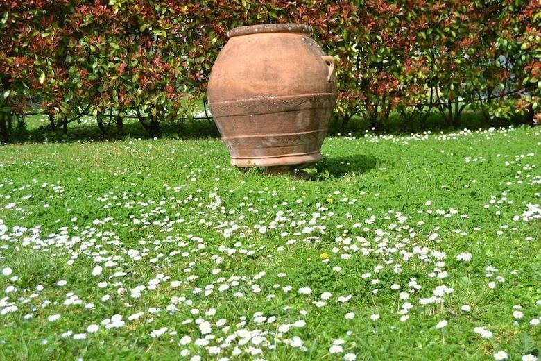 Agroturismo Le Civette Country Resort
