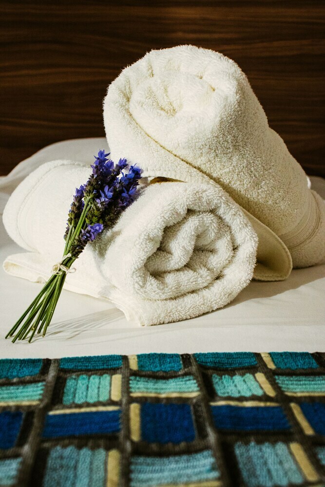 Apartamentos Antares Loft
