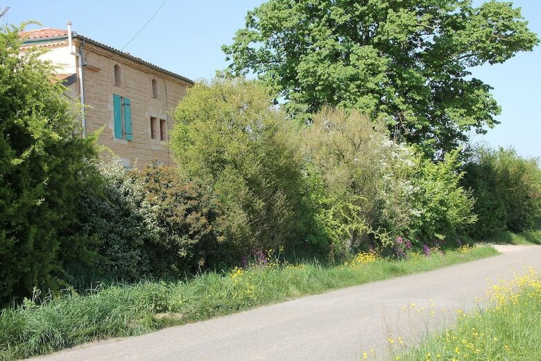 Hotel Les Terrasses Des Mimosas