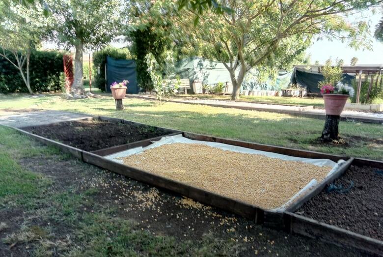 Bed & Breakfast Casadolcecasalatina