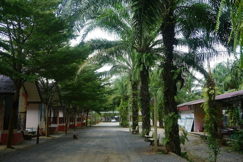 Hotel Thumneab Guesthouse
