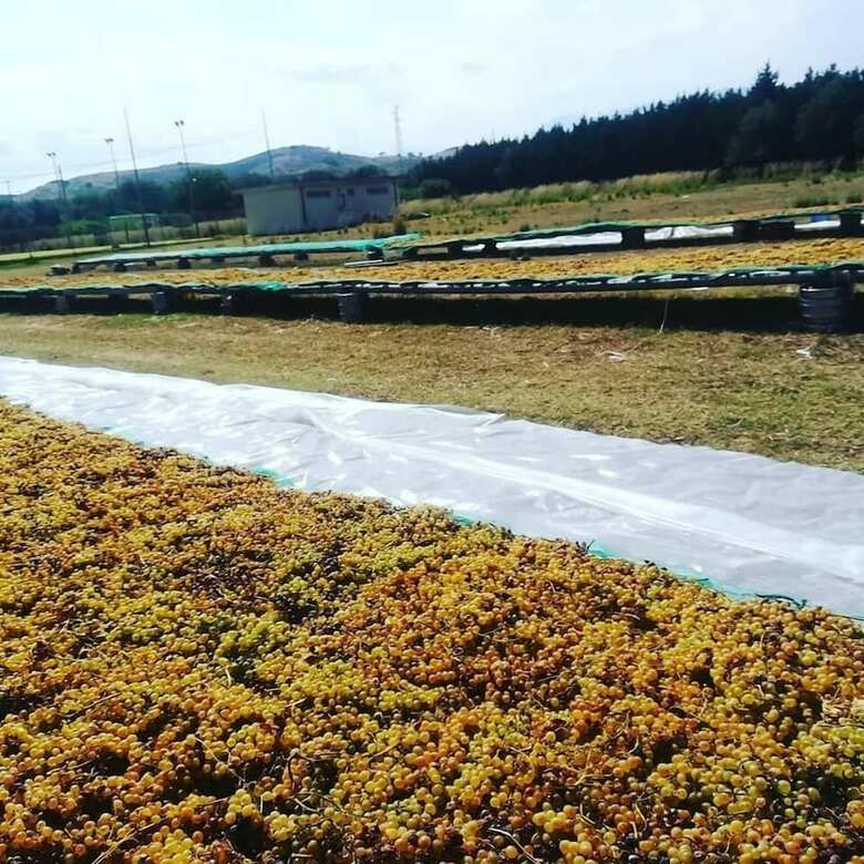 Agroturismo Agriturismo Nereide Ceratti