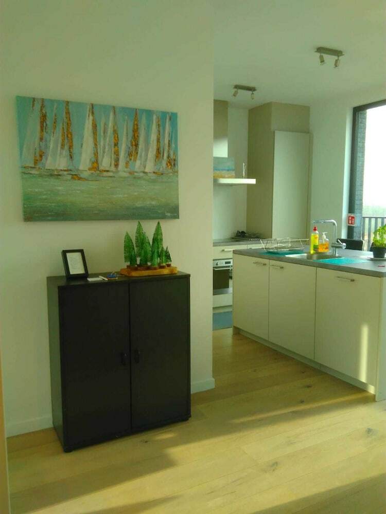 Fully Equipped Sunny Apartment