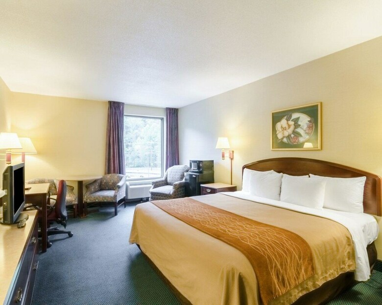 Hotel Comfort Inn